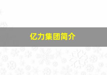 亿力集团简介