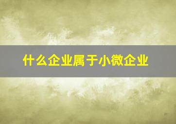 什么企业属于小微企业