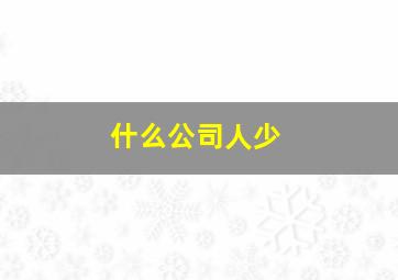 什么公司人少