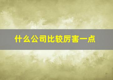 什么公司比较厉害一点