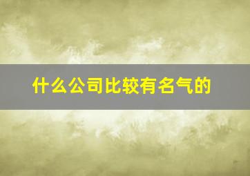 什么公司比较有名气的