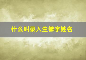 什么叫录入生僻字姓名