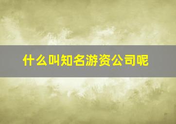 什么叫知名游资公司呢