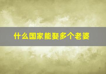 什么国家能娶多个老婆