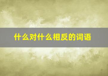 什么对什么相反的词语