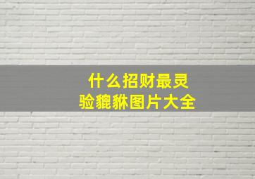 什么招财最灵验貔貅图片大全