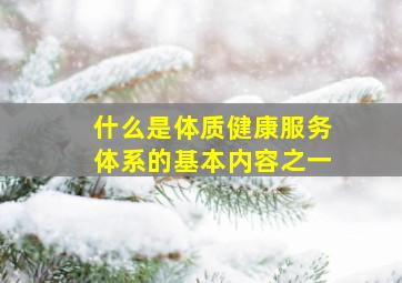 什么是体质健康服务体系的基本内容之一