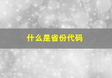 什么是省份代码