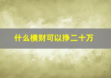 什么横财可以挣二十万