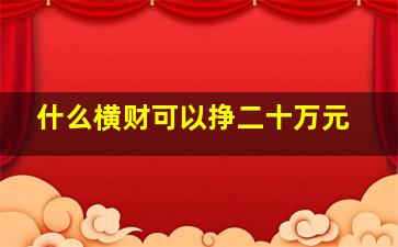 什么横财可以挣二十万元