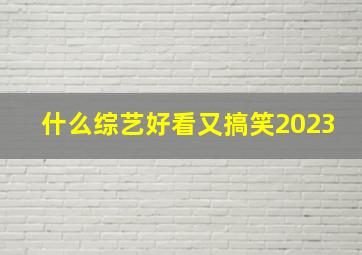 什么综艺好看又搞笑2023