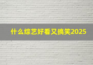 什么综艺好看又搞笑2025