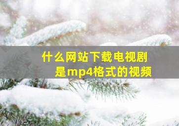 什么网站下载电视剧是mp4格式的视频