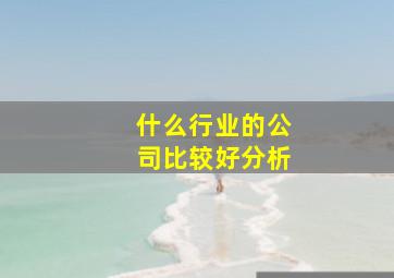 什么行业的公司比较好分析