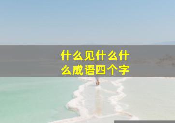 什么见什么什么成语四个字