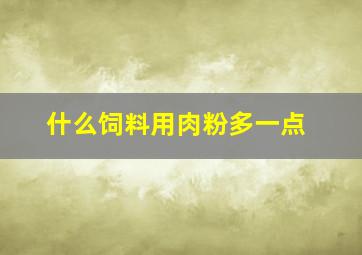 什么饲料用肉粉多一点