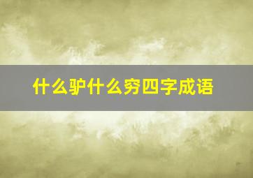 什么驴什么穷四字成语