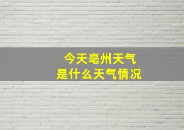 今天亳州天气是什么天气情况