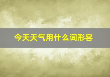 今天天气用什么词形容