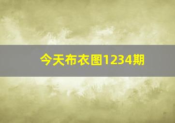 今天布衣图1234期