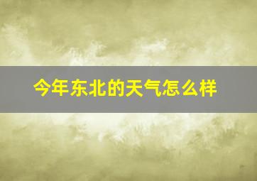 今年东北的天气怎么样