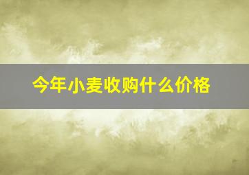 今年小麦收购什么价格