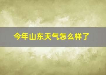 今年山东天气怎么样了