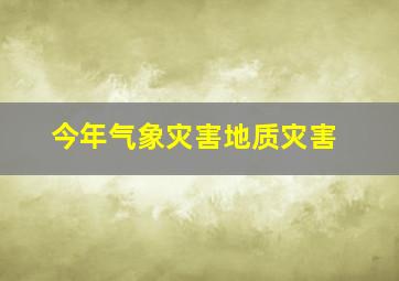 今年气象灾害地质灾害