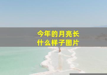 今年的月亮长什么样子图片