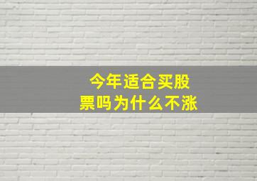 今年适合买股票吗为什么不涨