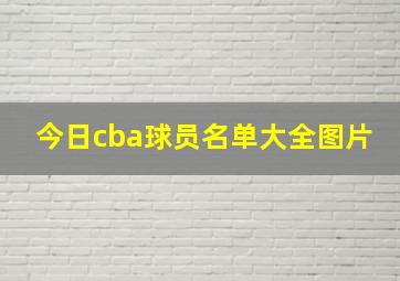 今日cba球员名单大全图片