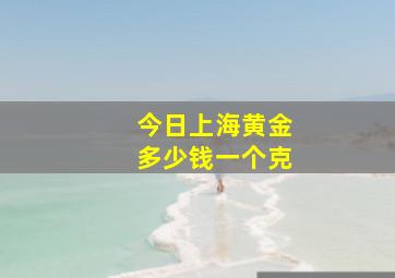 今日上海黄金多少钱一个克