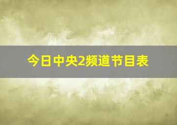 今日中央2频道节目表