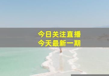 今日关注直播今天最新一期