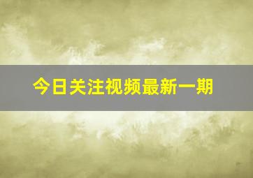 今日关注视频最新一期