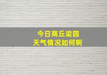 今日商丘梁园天气情况如何啊