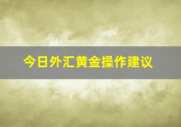 今日外汇黄金操作建议