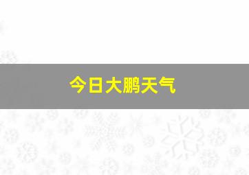 今日大鹏天气