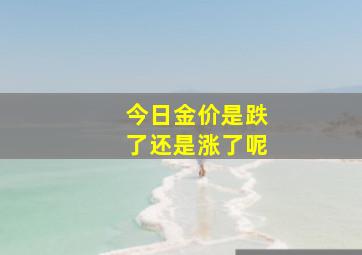 今日金价是跌了还是涨了呢