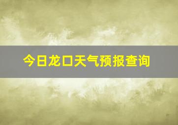 今日龙口天气预报查询