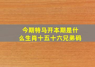 今期特马开本期是什么生肖十五十六兄弟码