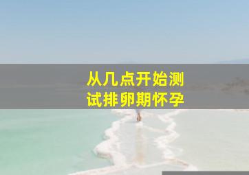 从几点开始测试排卵期怀孕