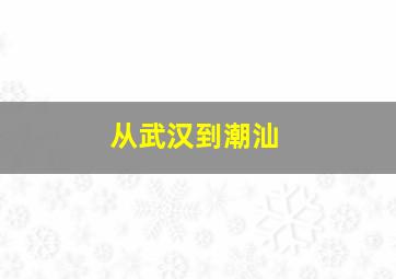 从武汉到潮汕