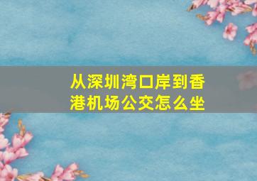 从深圳湾口岸到香港机场公交怎么坐