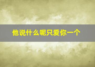 他说什么呢只爱你一个