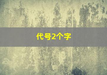 代号2个字