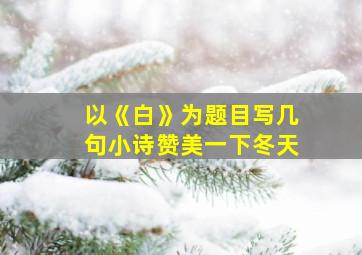 以《白》为题目写几句小诗赞美一下冬天