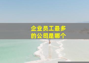 企业员工最多的公司是哪个