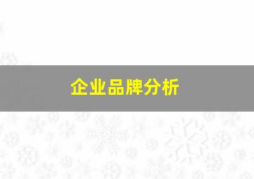 企业品牌分析