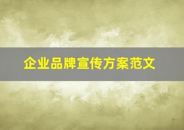 企业品牌宣传方案范文